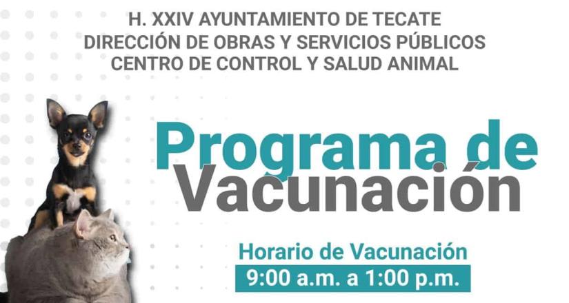 Gobierno de Tecate invita a dueños de caninos y felinos a ser parte del programa de vacunación antirrábica 2022