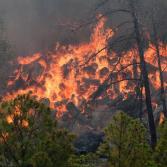 Incendios forestales en Texas