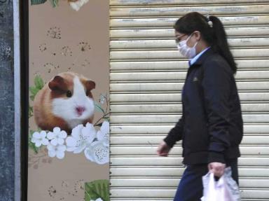 Investigan en Hong Kong el contagio de covid por hámsters importados de Europa