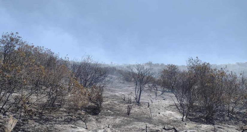 Llama Bomberos de Ensenada a prevenir incendios forestales